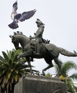 Las palomas de Salta
