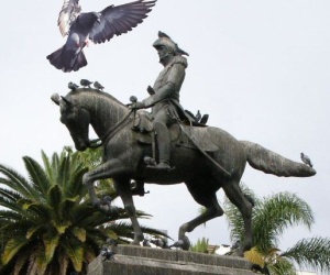 Las palomas de Salta